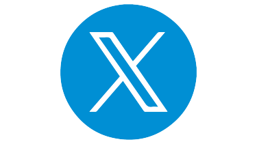 x icon