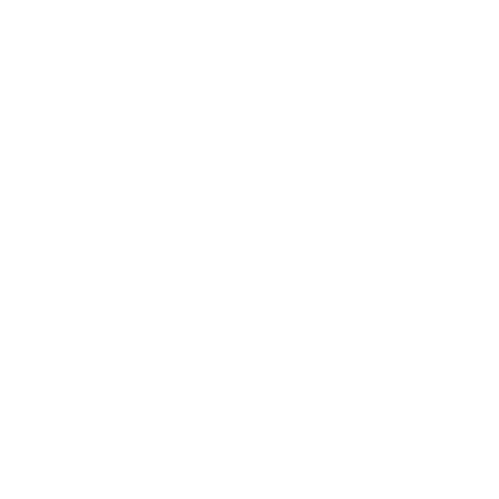 bizjet interiors logo
